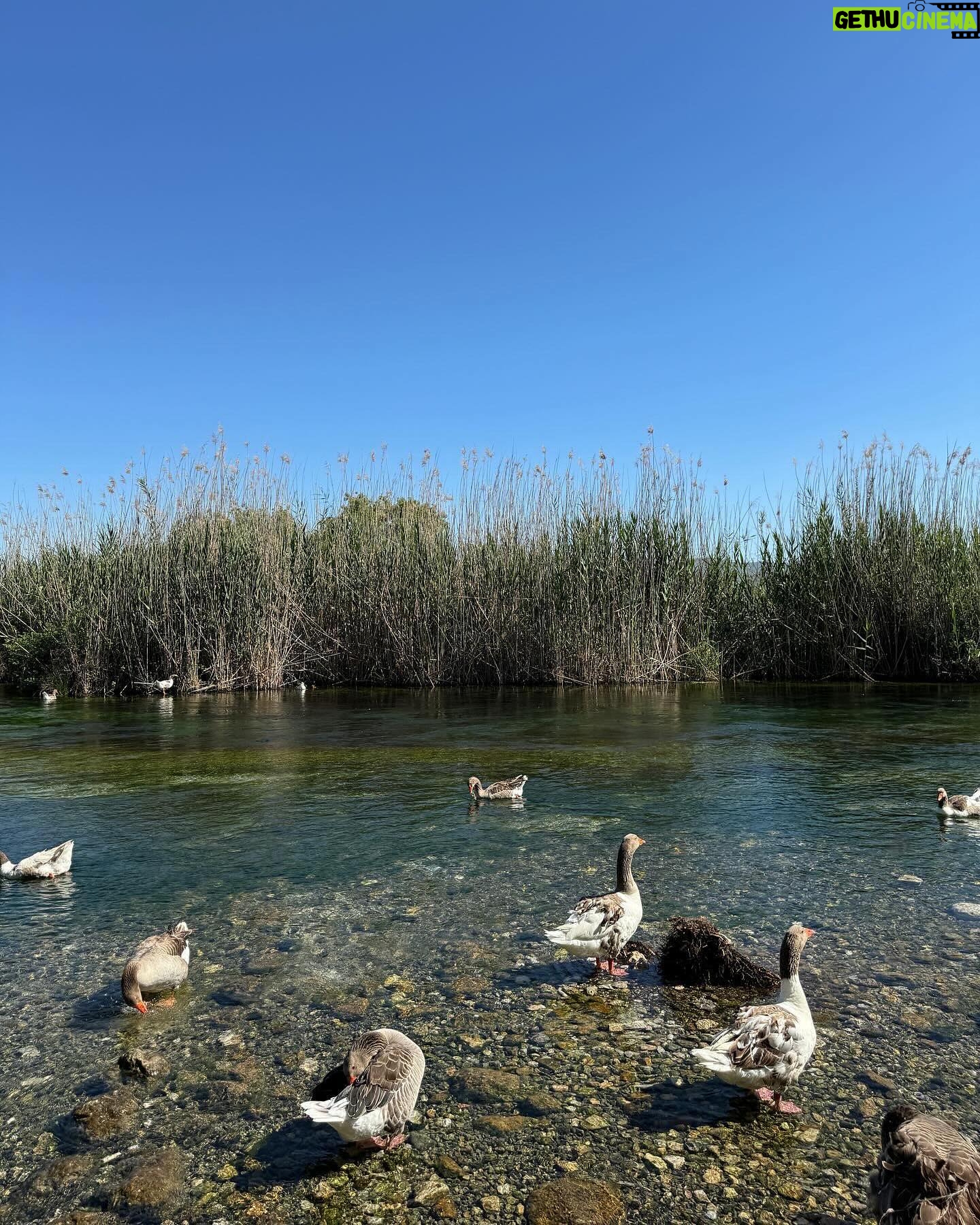 Zeynep Özkaya Instagram - Akyaka dump geldi🩵 Cennetten bir köşe değil de ne🥹🫶🏻🦆🌿