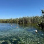 Zeynep Özkaya Instagram - Akyaka dump geldi🩵 Cennetten bir köşe değil de ne🥹🫶🏻🦆🌿