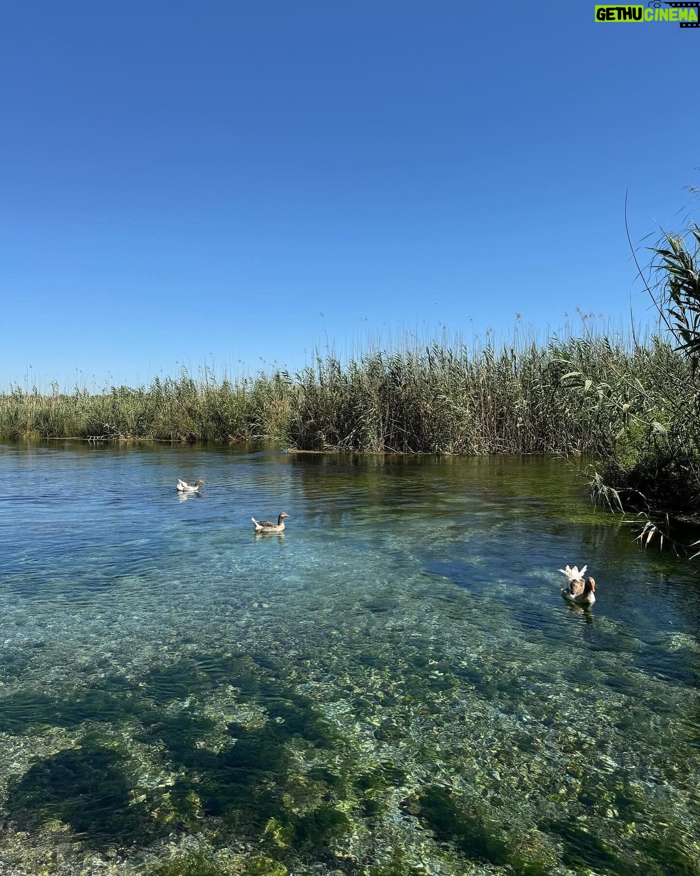 Zeynep Özkaya Instagram - Akyaka dump geldi🩵 Cennetten bir köşe değil de ne🥹🫶🏻🦆🌿