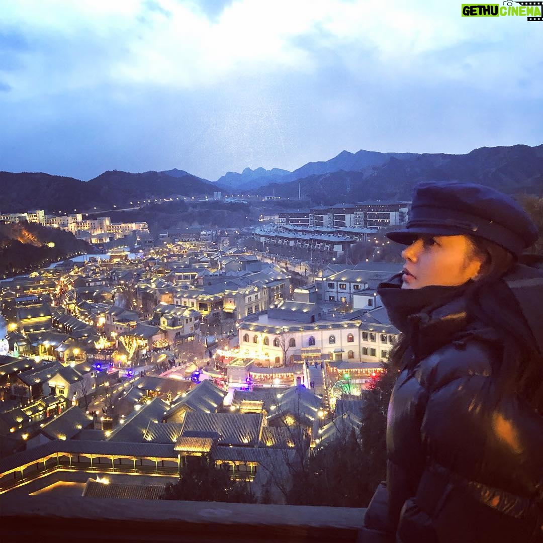 Zhang Tian'ai - 1.6K Likes -