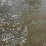 Zhanna Martirosyan Instagram - Погода прекрасная! Не понимаю, почему Лондон считают туманным Альбионом?