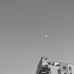 Zhao Jinmai Instagram – 🌛