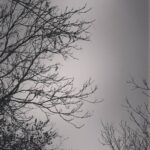 Ziba Karamali Instagram – .
وای ازین حال پریشان 
که من امشب دارم
قصه ی روز و شب من 
سخنی مختصر است !
روز در خوابِ خیالاتم و 
شب بیدارم… #مهدی_اخوان_ثالث
. .
#روزهای_خاکستری