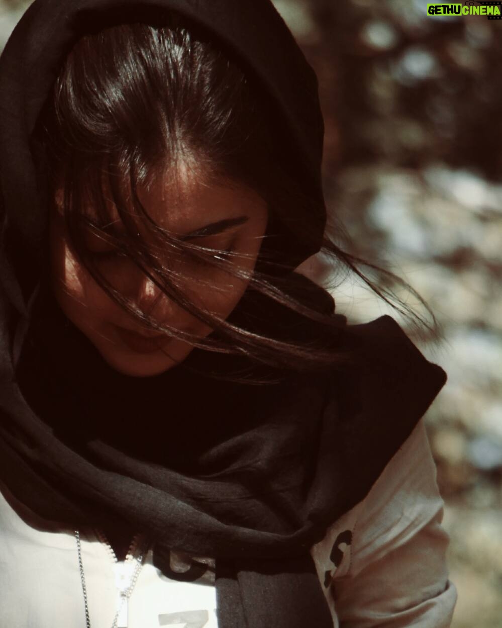 Ziba Karamali Instagram - چه کنم که توان از من می گریزد وقتی که نام کوچک او را در حضور من به زبان می آورند. از کنار هیزمی خاکستر شده از گذرگاهی جنگلی می گذرم بادی نرم و نابهنگام می وزد سبکسرانه با بویی از پاییز و قلب من خبرهایی از دوردست ها می شنود خبرهای بد! او زنده است و نفس میکشد اما غمی به دل ندارد... #آنا_آخماتووا
