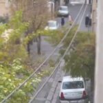 Ziba Karamali Instagram - . به این ویدیو هزاربار نگاه می‌کنم؛ چون بیشتر از هر تصویری شبیه من است. شبیه حال همین امروز من! دقیقا لحظه ای که بیدار شدم و تصویر این پسر بیست و سه ساله را روی صفحه موبایلم دیدم و خواندم که در فاصله کوتاهی از صدور حکمش اعدام شد! من خانواده‌ات نبودم محسن اما دقیقا همینطور وسط خانه داد کشیدم و ناله کردم... انقدر که از نفس افتادم... تقریبا بی جان و بی هیچ توانی مثل یک مرده ساعت‌ها افتادم روی مبل... و بعد آرزو کردم کاش جای تو بودم. کاش امشب کسی که نبود تا کثافت اینجا را تحمل کند، من بودم نه تو! منی که همین حالا هم مرده ام... از صبح هزاربار لحظه ای را تصور کردم که من خواب بودم و تو کشان کشان به مقتل کشیده میشدی... به چه فکر می‌کردی؟ حتما که باور نمیکردی... چون منم هنوز باور نکرده‌ام! باور نکرده ام که چطور کسی را به چنین جرائم ساده ای به همین سرعت اعدام می‌کنند و خواصشان، میچرخند و می‌درند و به ریش ما می‌خندند! به نظرم هنوز هیچ کدام از ما چهره ی عزیزانمان را که مظلومانه رفتند فراموش نکرده ایم اما پس از این دیگر نمیترسم محسن... از هیچ چیز نمی‌ترسم... امروز که آرزوی مرگ کردم، فهمیدم دیگر چیزی برای ترسیدن ندارم. اساسا هرگز نداشته‌ام. ترس بیهوده ای بود که به من توهم دارندگی میداد! اما من خودِ بی چیزم را بیشتر دوست دارم، محسن! من اگر هیچ نداشته باشم، شجاع ترم و من امروز بی همه چیز‌ترین زن جهانم! #محسن_شکاری