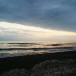 Ziba Karamali Instagram – نشانه ی یک انسان رشدنیافته این است که می خواهد شرافتمندانه برای هدفی بمیرد ولی نشانه ی یک انسان رشد یافته این است که می خواهد برای یک هدف، متواضعانه زندگی کند. .
#ناطور_دشت