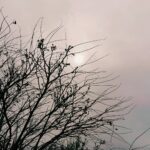 Ziba Karamali Instagram – تو زندگی دو دسته اشتباهات بزرگ وجود دارن. اونایی که هم برای خودت و هم برای بقیه « بزرگ‌ » تلقی میشن و دسته ی دوم اونایی که برای خودت « خیلی بزرگ و سخت » تلقی میشن و برای بقیه « خیلی کوچیک و بی اهمیت ». این دسته تحملش و بارش خیلی سنگین تر از اولیه. برای اولی، می تونی بری و از اون کسایی که این اشتباهات بزرگو در حقشون مرتکب شدی، عذرخواهی کنی. در واقع راهکار وجود داره برای برداشتن این بار احساس پشیمانی. اما اشتباهات دسته ی دوم، از نظر اونایی که بهش مربوطن، انقدر کوچیک و مسخرس که بزرگی ابعادش در نگاه تورو اصلا نمی فهمن چه برسه که بخوان عذرخواهیتو درک کنن. بیشتر شبیه یه آدم حساس جلوه می کنی که در مورد یه چیز کوچیک ( از نظر خودشون) زحمت عذرخواهی کردنو به خودش میده! واسه اونا یه چیز سادست اما واسه تو، چون می دونی اون اشتباهه هیچ جوره در شخصیتت نمی گنجیده، یه حس مزخرفه که هر وقت به یادش میوفتی از دست خودت عصبانی میشی و حتی شاید احساس شرمندگی کنی. اگر « بهترین و موثر ترین راهکار» برای اشتباهات دسته ی اول عذرخواهی و جبرانه، برای اشتباهات دسته ی دوم « تنها راهکار » فراموش کردنه. راهکاری که بیش از اینکه راهکار باشه، به خودی خود یه مشکل مستقله و یه قضیه ی حل ناشدنی تر.