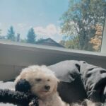 Zibby Allen Instagram - Impromptu lullabies, inspired by her supreme sweetness, occur daily in my house. She’s come to tolerate them 😂 #LullabiesForKona