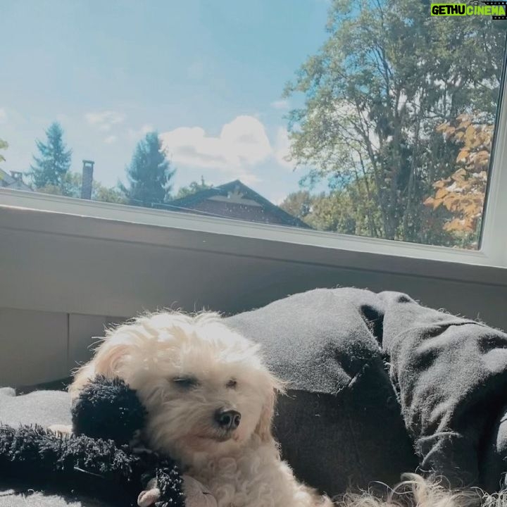 Zibby Allen Instagram - Impromptu lullabies, inspired by her supreme sweetness, occur daily in my house. She’s come to tolerate them 😂 #LullabiesForKona