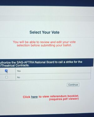 Zibby Allen Instagram - Voted yes, dudes. #wgastrong #sagaftrastrong