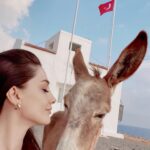 Zilan Duru Instagram - Seni yanımda götüremediğim için giderken bildiğin üzüldüm minik huzur 🤍🥹