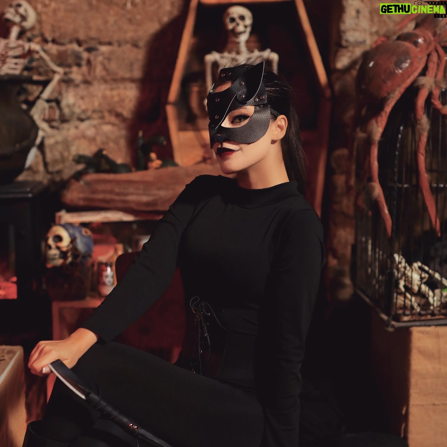 Zilan Duru Instagram - “Black cats are never bad luck” #happyhalloween 🐾🐈⬛🎃