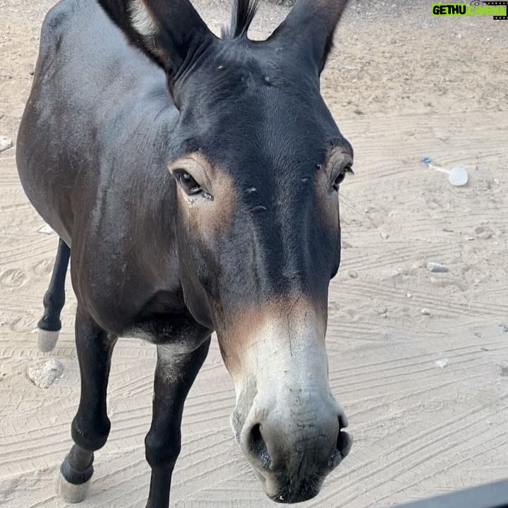 Zilan Duru - 3 Likes - Seni yanımda götüremediğim için giderken bildiğin üzüldüm minik huzur 🤍🥹
