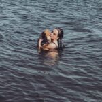 Zilan Duru Instagram - Charlot’um.. 1 aylıkken yine böyle bir sonbahar günü gelmiştin bana.. Biberonla büyüttüm, 22 yaşındaydım 13 sene şahane bir gençlik yaşattın bana, ben seni değil sen beni büyüttün. Dünyanın kötülüğünde ne ile karşılaşsam gelip sana sığınırdım ve tüm kötülükler dışarıda kalırdı.. Sonra aramıza Marilyn dahil oldu (şu an cennette seni karşıladığını umuyorum) ve sonra Audrey’le mutlu büyük bir aile olduk.. Kimseden görmediğim karşılıksız sevgiyi sizden gördüm, aile nedir pek bilmem.. Benim ailem, en sevdiklerim siz oldunuz hayatta.. Önce Marilyn gitti, sonra üç ameliyatla iki sene bu hastalıkla mücadele ettik seninle, ama sen o kadar güçlü bir çocuktun ki her şeye rağmen öngörülenden daha uzun süre hayata tutundun, bırakmadın beni. Yaşamayı hep sevdin, bana bile sevdirdin.. Su gibi aktı zaman seninle.. Sen benim gençliğim, sığınağımdın.. Bu bir veda değil, bu bir teşekkür. Hayatıma girip bana mutluluk verdiğin için teşekkür ederim, beni sevdiğin ve sevgimi kabul ettiğin için teşekkür ederim. Yaşatacağım anılar için, ailem olduğun için teşekkür ederim, sonsuza kadar.. Ama en önemlisi, sonunda gitmene izin verdim ve bunu sana söyleyince kendiliğinden gittin, meğer ne zor dayanmışsın o yükle.. Hem de 4 Ekim hayvanları koruma gününde.. Sen benim ilk ve son aşkım, evimin tek erkek çocuğu olarak kalacaksın, dedene ve Marilyn’e selam söyle.. Audrey’le yanınıza geleceğimiz güne kadar.. Son fotoğraftaki gibi, cennette de arkadaşlarınla böyle koş oyna… Huzurla uyu en sevdiğim… Her an yanımda olacaksın.. 11.08.2010 - 04.10.2023♾️