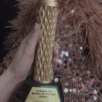 Zilan Duru Instagram – Thank you for this beautiful night and the award🤍