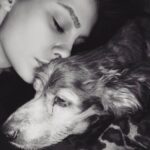 Zilan Duru Instagram - Charlot’um.. 1 aylıkken yine böyle bir sonbahar günü gelmiştin bana.. Biberonla büyüttüm, 22 yaşındaydım 13 sene şahane bir gençlik yaşattın bana, ben seni değil sen beni büyüttün. Dünyanın kötülüğünde ne ile karşılaşsam gelip sana sığınırdım ve tüm kötülükler dışarıda kalırdı.. Sonra aramıza Marilyn dahil oldu (şu an cennette seni karşıladığını umuyorum) ve sonra Audrey’le mutlu büyük bir aile olduk.. Kimseden görmediğim karşılıksız sevgiyi sizden gördüm, aile nedir pek bilmem.. Benim ailem, en sevdiklerim siz oldunuz hayatta.. Önce Marilyn gitti, sonra üç ameliyatla iki sene bu hastalıkla mücadele ettik seninle, ama sen o kadar güçlü bir çocuktun ki her şeye rağmen öngörülenden daha uzun süre hayata tutundun, bırakmadın beni. Yaşamayı hep sevdin, bana bile sevdirdin.. Su gibi aktı zaman seninle.. Sen benim gençliğim, sığınağımdın.. Bu bir veda değil, bu bir teşekkür. Hayatıma girip bana mutluluk verdiğin için teşekkür ederim, beni sevdiğin ve sevgimi kabul ettiğin için teşekkür ederim. Yaşatacağım anılar için, ailem olduğun için teşekkür ederim, sonsuza kadar.. Ama en önemlisi, sonunda gitmene izin verdim ve bunu sana söyleyince kendiliğinden gittin, meğer ne zor dayanmışsın o yükle.. Hem de 4 Ekim hayvanları koruma gününde.. Sen benim ilk ve son aşkım, evimin tek erkek çocuğu olarak kalacaksın, dedene ve Marilyn’e selam söyle.. Audrey’le yanınıza geleceğimiz güne kadar.. Son fotoğraftaki gibi, cennette de arkadaşlarınla böyle koş oyna… Huzurla uyu en sevdiğim… Her an yanımda olacaksın.. 11.08.2010 - 04.10.2023♾️