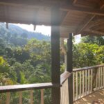 Zita Hanrot Instagram - JAMAICA 🇯🇲🦦
