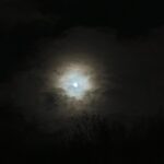 Zoë Pastelle Holthuizen Instagram - 🕰️🌕..