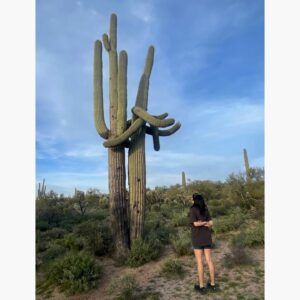 Zoë Chao Instagram - Baguette -> Saguaro -> Daffodil