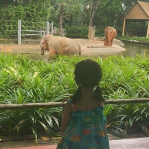 Zoie Tam Instagram - 下雨天就會想著陽光普照的日子
翻看手機重溫了一下新加坡的旅程🛩

P1-2) BabyG 人生第一次去到新加坡 本打算帶她去坐摩天輪 但巧遇摩天輪在這期間進行年度維修 唯有答應她下次再來 結果要回港補坐🤣

P3-6)寶貝最喜歡睇動物 所以今次去動物園簡直是重中之重 藉此希望她能學懂尊重自然環境和生命❤️

P7) 吃了一隻比我臉還要大的蟹鉗 肚子覺得好滿足😋

P8）晚飯後到外邊隨便走走 一聽到音樂又激發到她內心的小宇宙💕