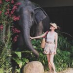 Zoie Tam Instagram - 下雨天就會想著陽光普照的日子 翻看手機重溫了一下新加坡的旅程🛩 P1-2) BabyG 人生第一次去到新加坡 本打算帶她去坐摩天輪 但巧遇摩天輪在這期間進行年度維修 唯有答應她下次再來 結果要回港補坐🤣 P3-6)寶貝最喜歡睇動物 所以今次去動物園簡直是重中之重 藉此希望她能學懂尊重自然環境和生命❤️ P7) 吃了一隻比我臉還要大的蟹鉗 肚子覺得好滿足😋 P8）晚飯後到外邊隨便走走 一聽到音樂又激發到她內心的小宇宙💕