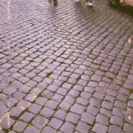 Zosia Mamet Instagram – Can’t stop won’t stop #tinydogsincoats