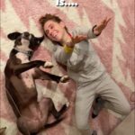 Zosia Mamet Instagram – Unconditional love is…4 paws & 4 hooves. Visit your local animal shelter this Valentine’s Day and give the gift of true best friendship #adoptdontshop ❤️🐾