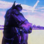 Zosia Mamet Instagram - We love this sport BECAUSE it is hard. Embrace the challenge. Learn from your mistakes. Do not give up on your goals. And at the end of the day never forget, every second in the saddle is a gift 🦄❤️🤠