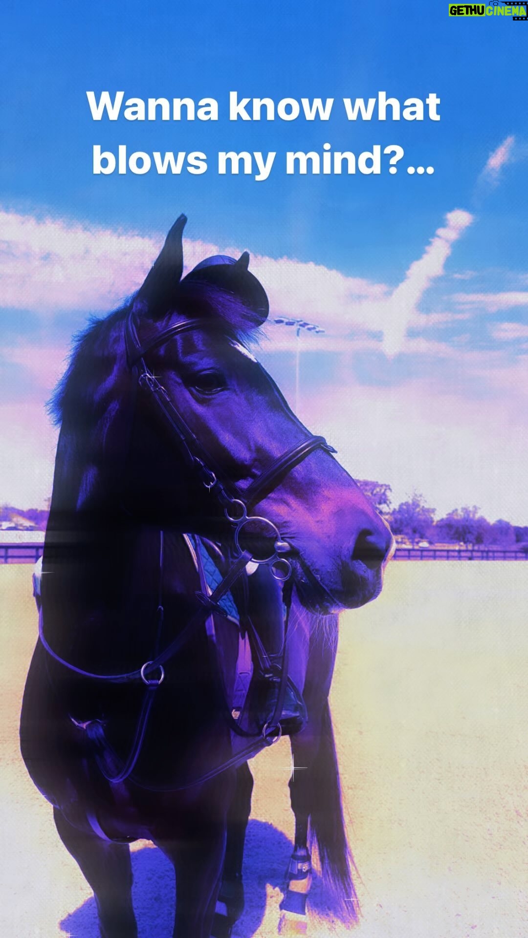 Zosia Mamet Instagram - We love this sport BECAUSE it is hard. Embrace the challenge. Learn from your mistakes. Do not give up on your goals. And at the end of the day never forget, every second in the saddle is a gift 🦄❤️🤠