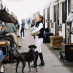 Zosia Mamet Instagram – Missing this gal like she misses her girls ❤️ 

@zosiamamet for @dadasport with her gorgeous furbabies, Herbie & Moose 🫎  while at WEC Ocala with DiCarlo Eq 

Wearing the Dadasport Giovanni breech and Vendetta show shirt in white, paired with the Delauney vest in navy.