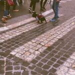 Zosia Mamet Instagram – #tinydogsincoats
