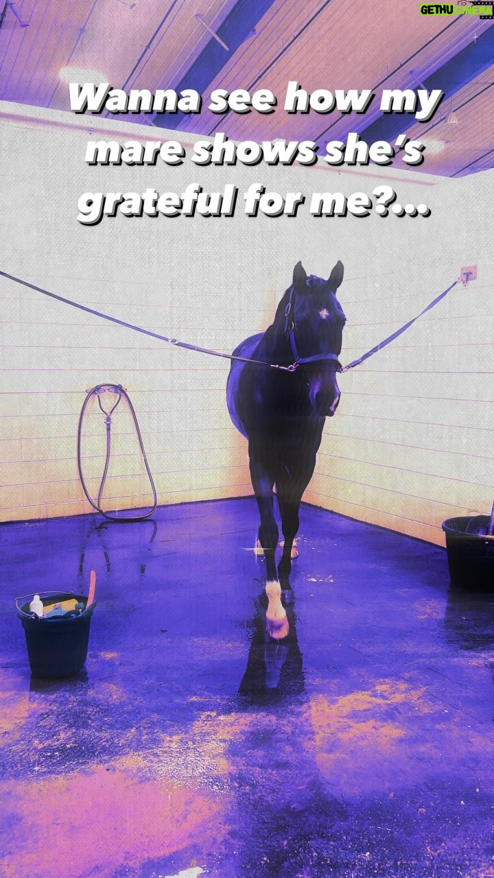 Zosia Mamet Instagram - Mare moms get it #horsegirlshit