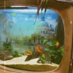 Zosia Mamet Instagram – 🐠☕️🦩