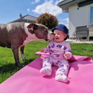 Zuzana Žilinčíková Instagram - Moje detičky♥️🥰
Lilly je posadnutá malou Aurorou..tam kde je Rory nesmie chýbať ani Lilly. Už sa teším ako budú spolu behať..
#love #dog #baby #pitbull