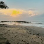 kruttika ravindra Instagram – Kannur- Part 1.
Sometimes 1 day in a different place  will give you more than 10 years of life at a known place. Keep taking time for yourself, until you are YOU again. Let everything go, but find yourself. Travelling alone is one of the best things I have done this year. Celebrate yourself. You are your best friend :) Best is yet to come ♥️
So here are some of the random clicks I have taken in my trip. @chera_rocks_beach_house_  you beauty. You never fail me in finding peace. 
•
•
#kruttikaravindra #actress #india #love #beach #healthylifestyle #instagood #instagram #instadaily #livelovelaugh #photography #picoftheday #viral #cherarocksbeachresort