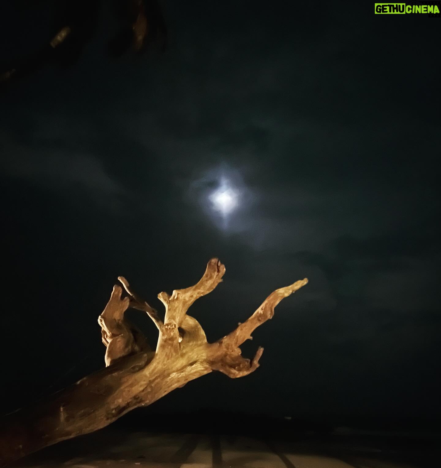 kruttika ravindra Instagram - Kannur- Part 1. Sometimes 1 day in a different place will give you more than 10 years of life at a known place. Keep taking time for yourself, until you are YOU again. Let everything go, but find yourself. Travelling alone is one of the best things I have done this year. Celebrate yourself. You are your best friend :) Best is yet to come ♥️ So here are some of the random clicks I have taken in my trip. @chera_rocks_beach_house_ you beauty. You never fail me in finding peace. • • #kruttikaravindra #actress #india #love #beach #healthylifestyle #instagood #instagram #instadaily #livelovelaugh #photography #picoftheday #viral #cherarocksbeachresort