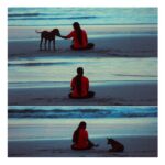 kruttika ravindra Instagram – The best things happen unexpectedly..♥️♥️
Thanks for these amazing clicks @akhilthahir ♥️
•
•
#kruttikaravindra #actress #india #instagram #instadaily #photography #picoftheday #photo #love #dog #beach #kannur #viral