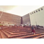 milet Instagram - #milet_5AM TOUR @神奈川 た、た、たのしすぎたよ〜！泣 声すごい伸びて、みんなの声と私の声が重なってる瞬間が気持ち良すぎて昇天👼 5AMというツアーが猛スピードで成長している。同時に、きっと私も。 神奈川のみんな、次は来年の横アリで会おうね♡ 崎陽軒のシウマイ弁当は筍がいちばん好き。 #milet