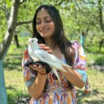 sree priya Instagram - 🕊️🍎 Comment down ua fav pic ..? 👇🏻 . . Outfit : @labelmacara