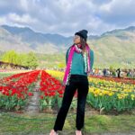 sree priya Instagram - 🌷✨ 📍srinagar #kashmir #tulips #tulipgarden #travelphotography