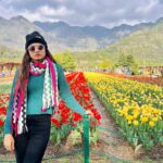 sree priya Instagram - 🌷✨ 📍srinagar #kashmir #tulips #tulipgarden #travelphotography
