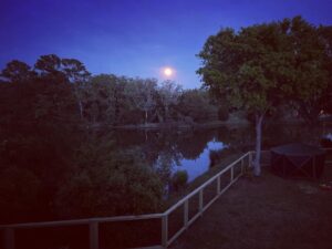 A.J. Buckley Instagram - Best decision 🙏❤️

#SC #newhome #family #newchapter #hardworkpaysoff  #fullmoon #sonnyquinn