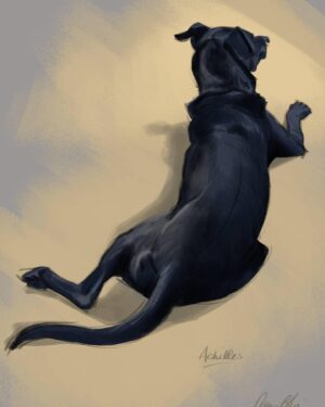 Aaron Blaise Instagram - My dog, Achilles was striking an awesome pose so I sketched him really quick in photoshop on my Cintiq. He’s a good boy. #dogs #sketch #photoshop #animalart #goodboy