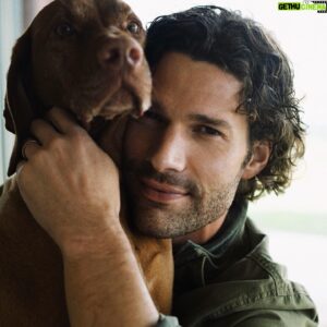 Aaron O'Connell Instagram - When I’m home working on whatever project it is, this boy follows me EVERYWHERE. Sometimes I have to step around him, over him, or sneak by him just to grab a tape measure. 

But sometimes I just stop what I’m doing, bend down and give this boy a hug and that tail goes crazy. 

As Natalie says, “why do you always have to knock stuff out” 😂 

I dunno, just the way I’m wired... but Fig sure knows how to slow me down a bit to remind me what’s important in life. Love you buddy! @figthewiggler #wingman