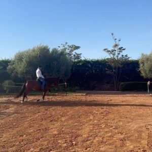 Aaron Pico Instagram - Thank you @catherine___reda for the lesson this morning. It is great to learn from people who share the same passion. Beautiful place and horses 🇲🇦