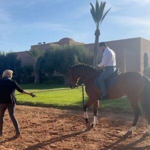 Aaron Pico Instagram - Thank you @catherine___reda for the lesson this morning. It is great to learn from people who share the same passion. Beautiful place and horses 🇲🇦