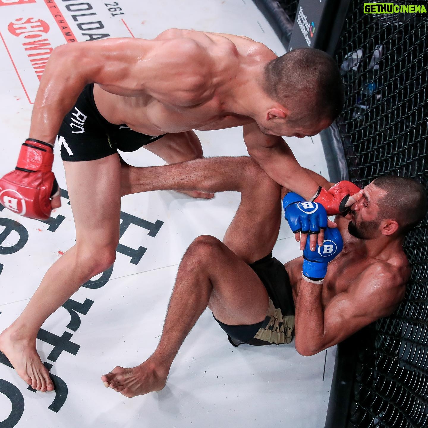 Aaron Pico - 3.4K Likes - Pico takes on Pedro in Dublin 🔥
@aaronpicousa is flying high in the featherweight division. Will he be able secure a big win over favorite @pedrocarvalhomma at the @3arenadublin? 👀
#Bellator299 | Sat, Sept 23 | 🎟️ @tmie