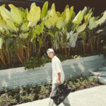 Aaron Yan