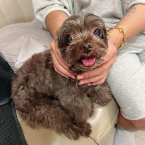 Actor Aaron Yan HD Instagram Photos and Wallpapers July 2024