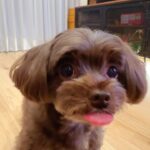 Aaron Yan